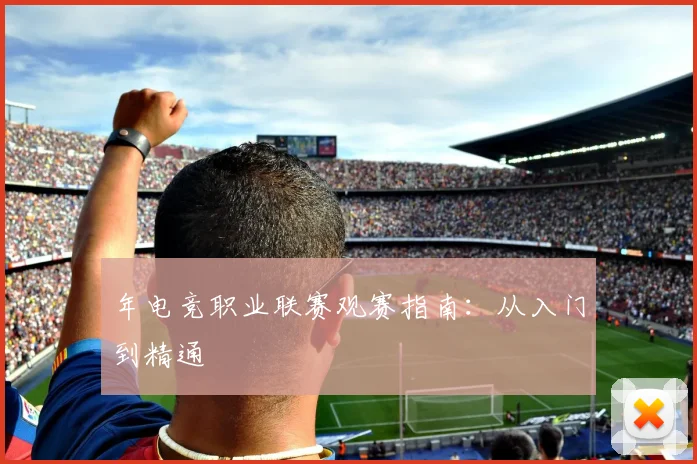 年电竞职业联赛观赛指南：从入门到精通