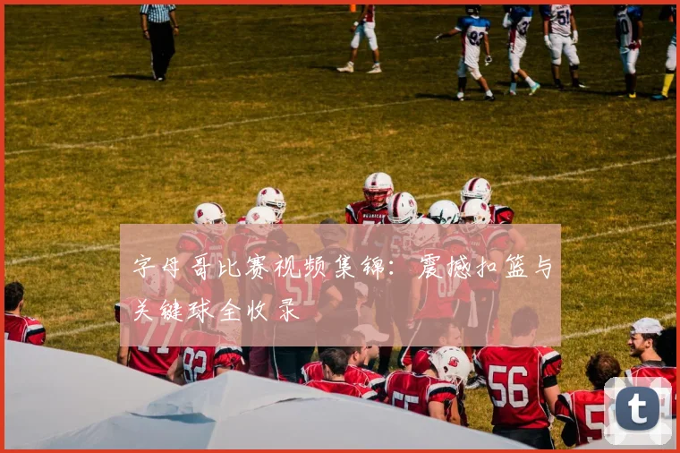 字母哥比赛视频集锦：震撼扣篮与关键球全收录