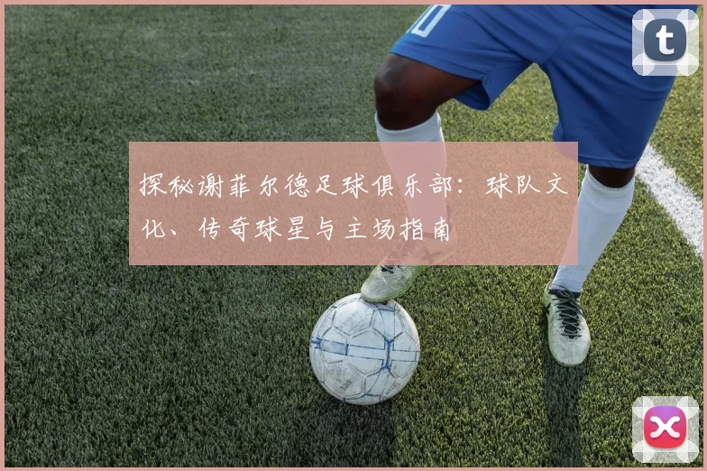 探秘谢菲尔德足球俱乐部：球队文化、传奇球星与主场指南